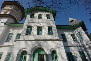 Castelul Filipescu Kretzulescu (Conacul Filipescu) - Castelul Filipescu Kretzulescu (Conacul Filipescu)