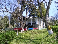 Casa memoriala Ion Borcea