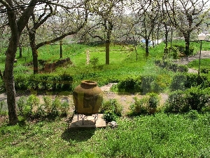 Cetatea Aegyssus