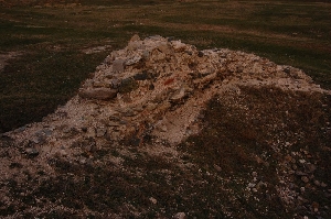 Cetatea Arrubium
