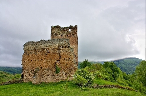 Cetatea de la Salas (Cetatea de la Salasu de Sus)