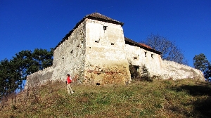 Cetatea de pe deal de la Jimbor