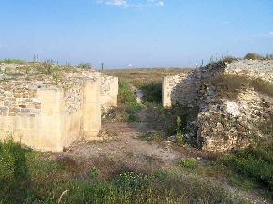 Cetatea Halmyris