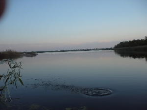 Lacul Amara