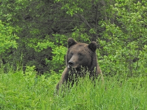 Parcul Natural Putna - Vrancea