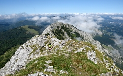 Traseu turistic: Dambovicioara - Brusturet - Funduri - Vladusca sau saua Funduri