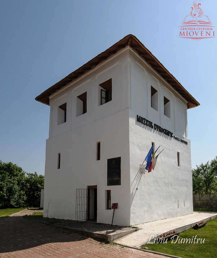Ansamblul Culei Racovita