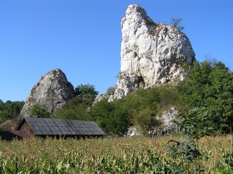 Calcarele de la Valea Mica