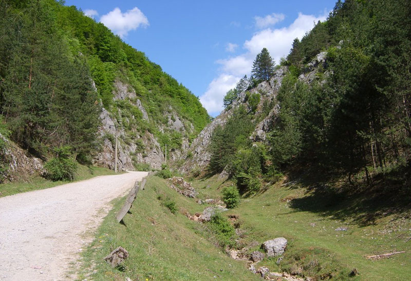 Cheile Albioarei