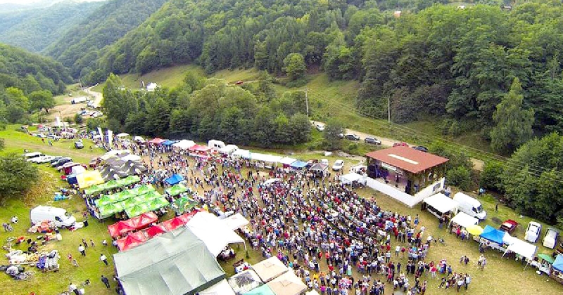 Festivalul tuicii, in comuna Cosesti