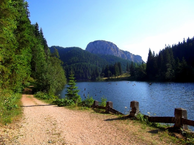 Lacul Rosu