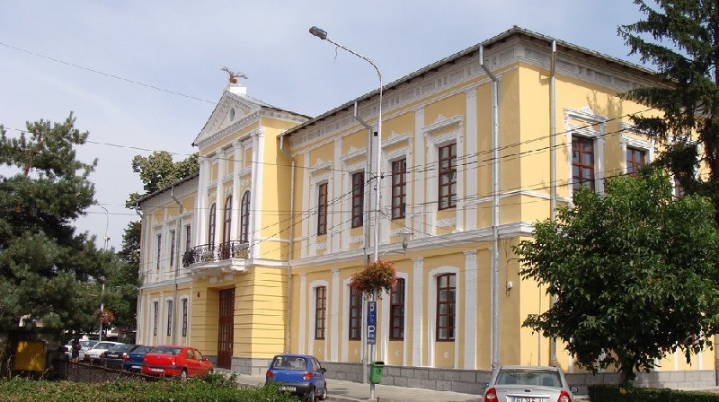 Muzeul Judetean Alexandru Stefulescu