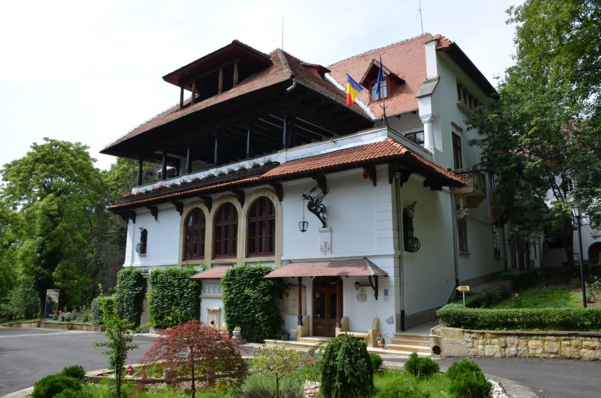 Muzeul National Bratianu