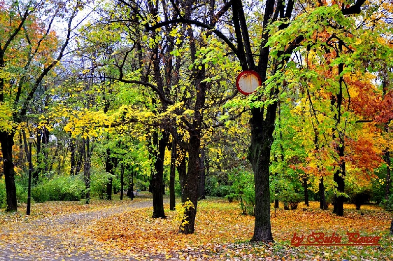 Parcul Herastrau