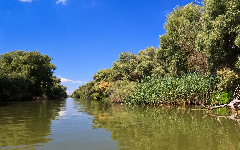 Parcul Natural Balta Mica a Brailei