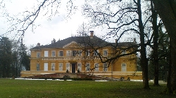 Castelul regal de la Savarsin