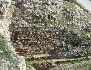 Cetatea Noviodunum
