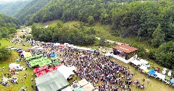 Festivalul tuicii, in comuna Cosesti