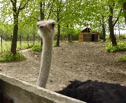 Gradina Zoologica Ploiesti