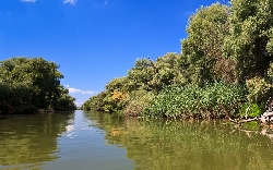 Parcul Natural Balta Mica a Brailei