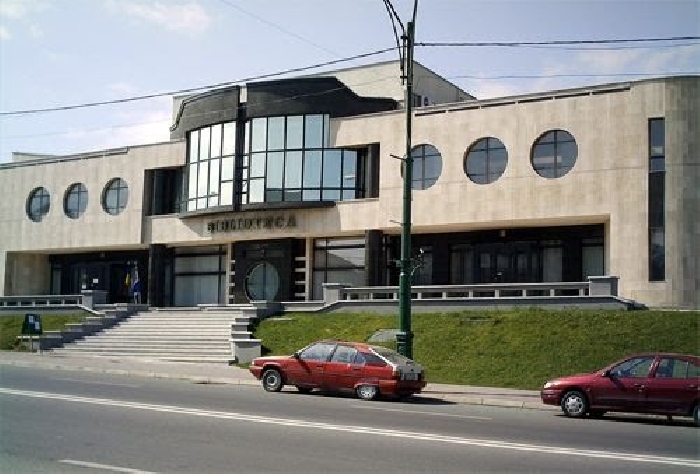 Biblioteca Municipala Radu Rosetti