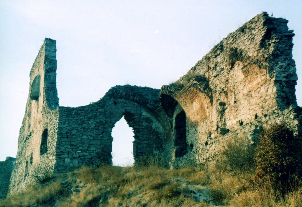 Cetatea Deva