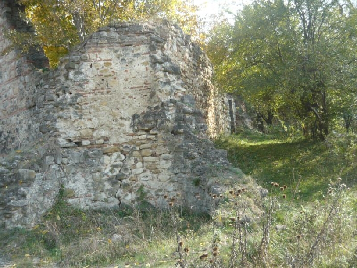 Cetatuia de la Cucuiata