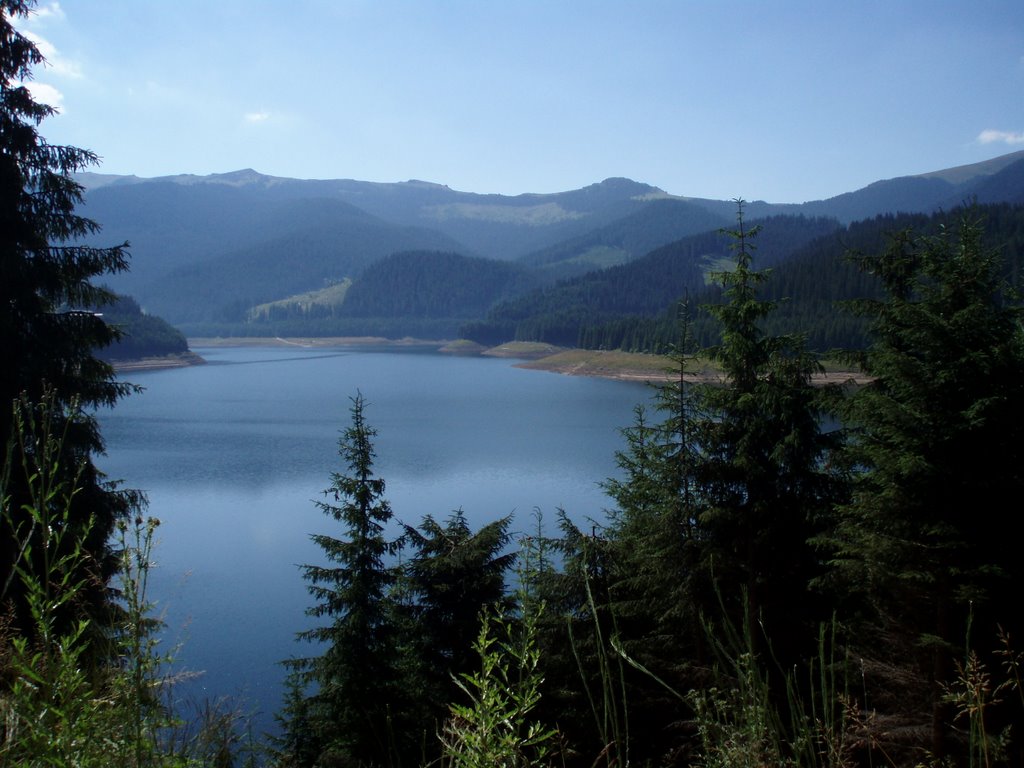 Lacul Poiana Marului