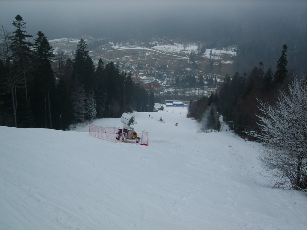Partia Cazacu