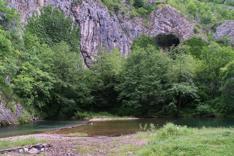 Rezervatia Cheile Carasului