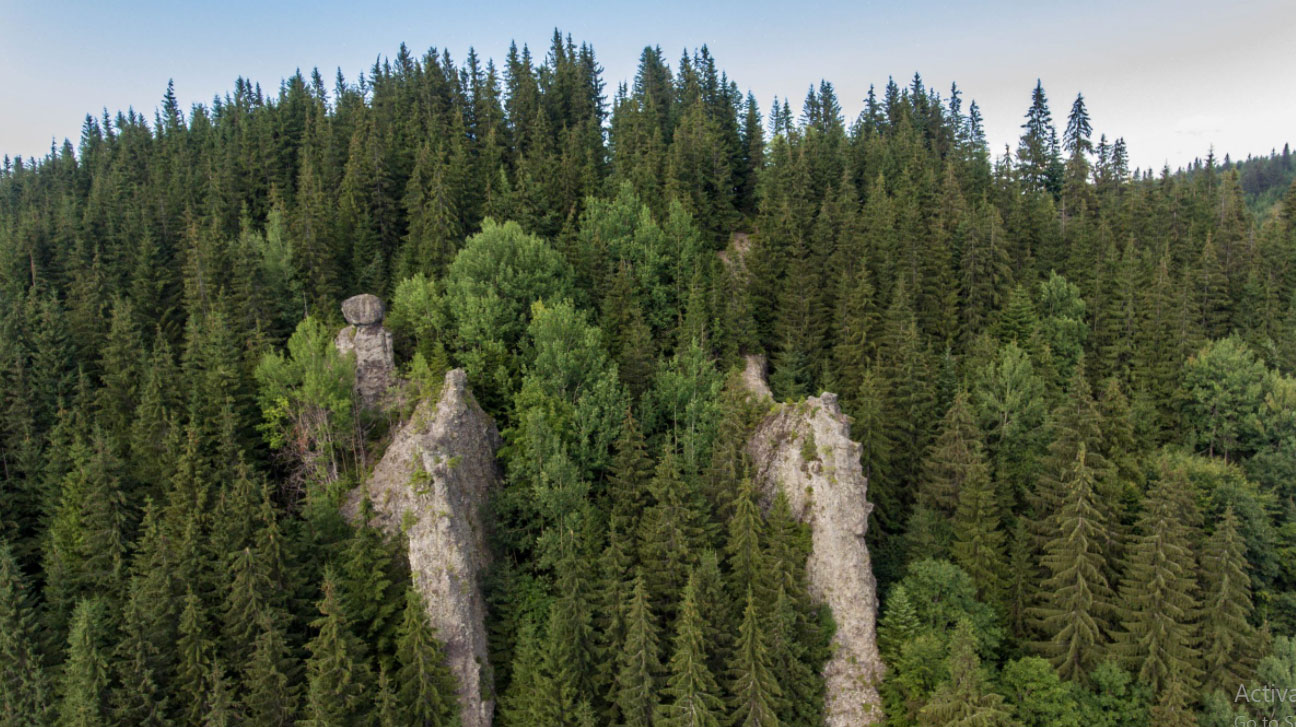 Stancile Coloape / Ciupercile De Piatra / Babele Gurghiului