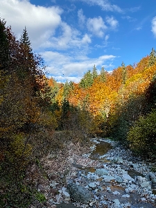 Parcul Natural Putna - Vrancea