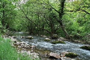 Rezervatia Cheile Carasului