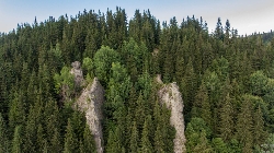 Stancile Coloape / Ciupercile De Piatra / Babele Gurghiului