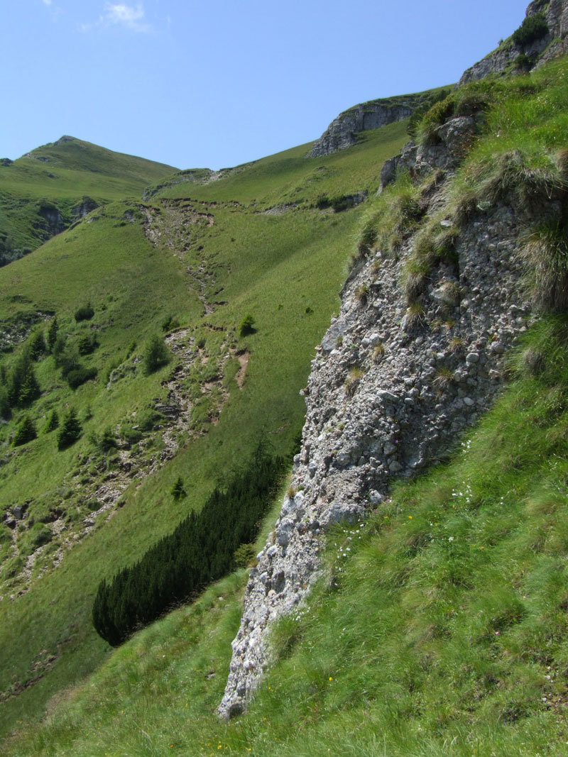 Rezervatia naturala  Abruptul Prahovean (Bucegi)