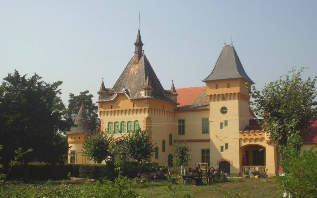 Castelul Purgly