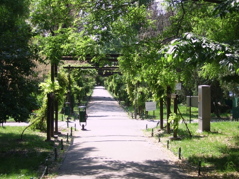 Parcul Cismigiu (Gradina Cismigiu)