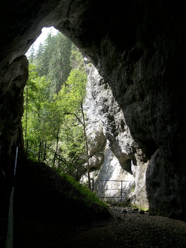 Pestera Poarta lui Ionele