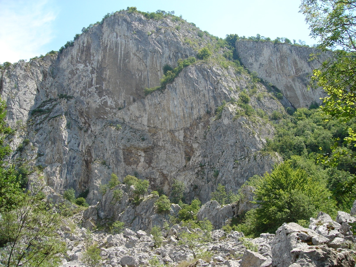 Rezervatia "Calcarele din dealul Magura"