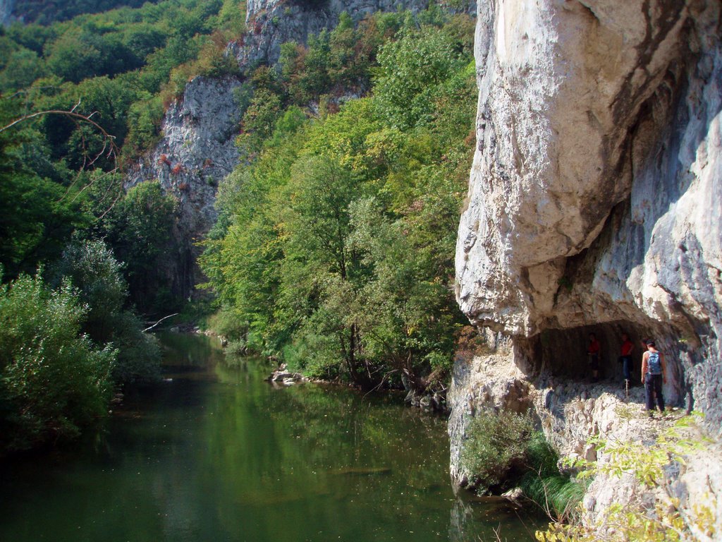 Rezervatia Cheile Nerei-Beusnita