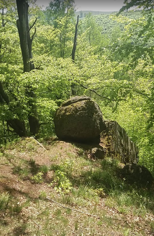 Rezervatia geologica "Oul Arsitei"