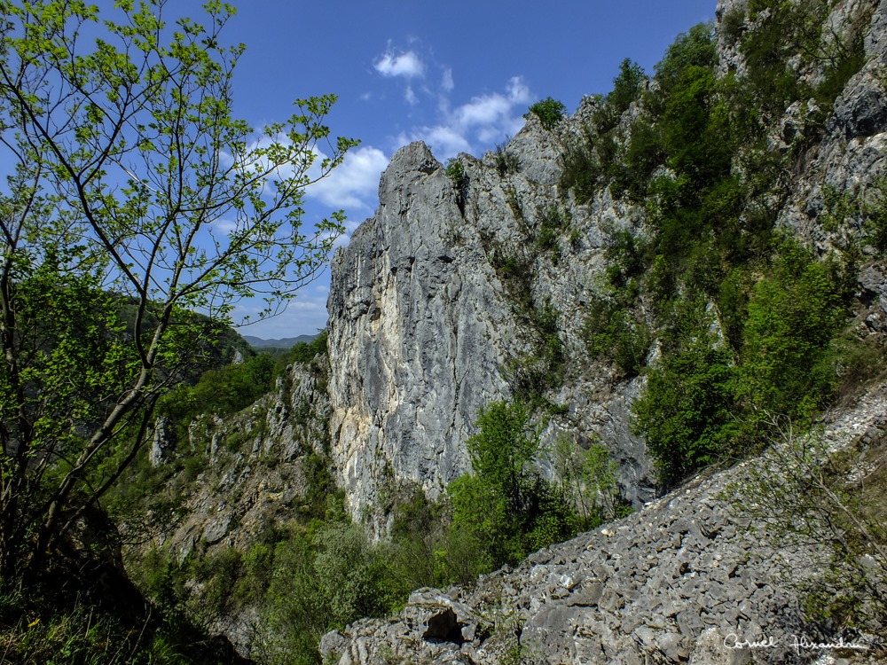 Rezervatia Magurile Baitei