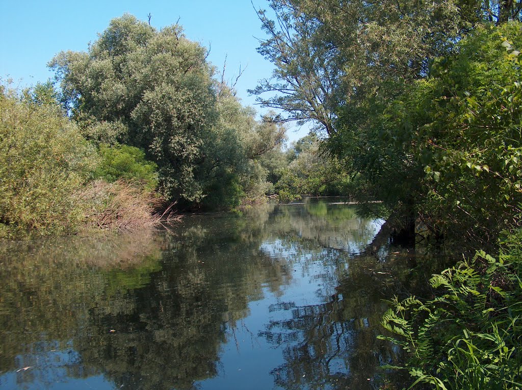 Rezervatia Naturala Balta Nera - Dunare