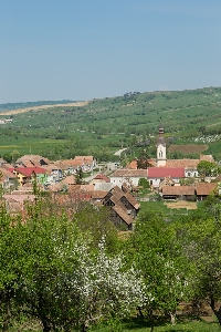 Biserica evanghelica fortificata din Dacia