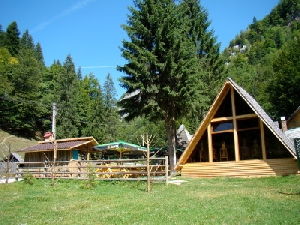 Cabana Brusturet