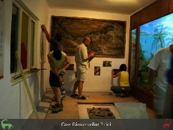 Casa Dinozaurilor Pitici si Casa Traditiilor