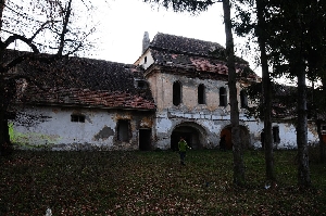 Castelul Nemes (Budila)