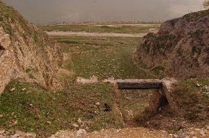 Cetatea Arrubium