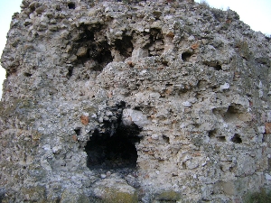 Cetatea Carsium