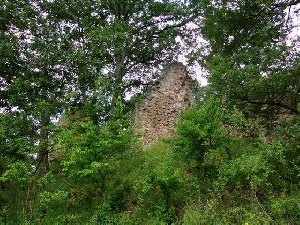 Cetatea Finisului